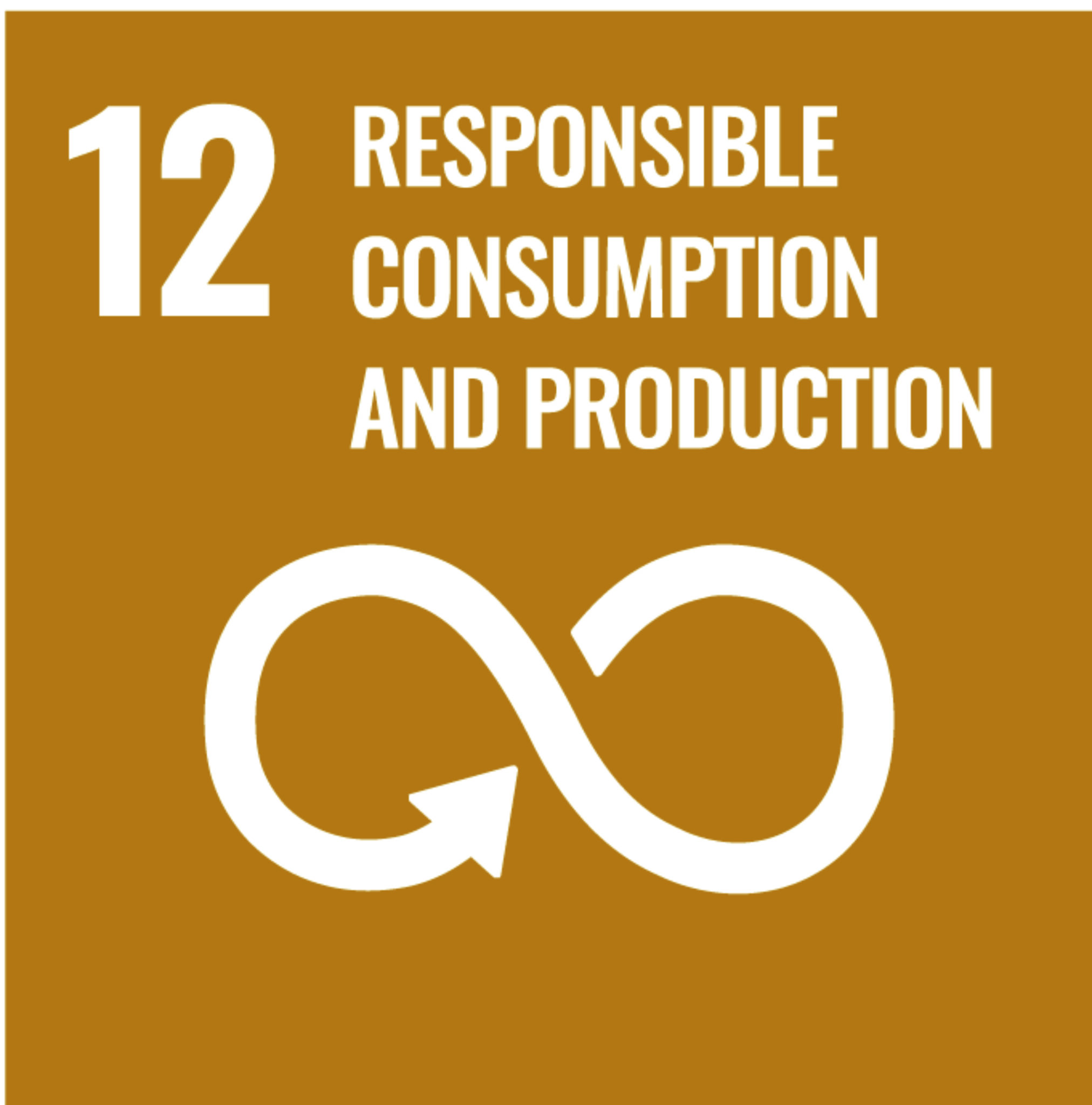 SDG 12