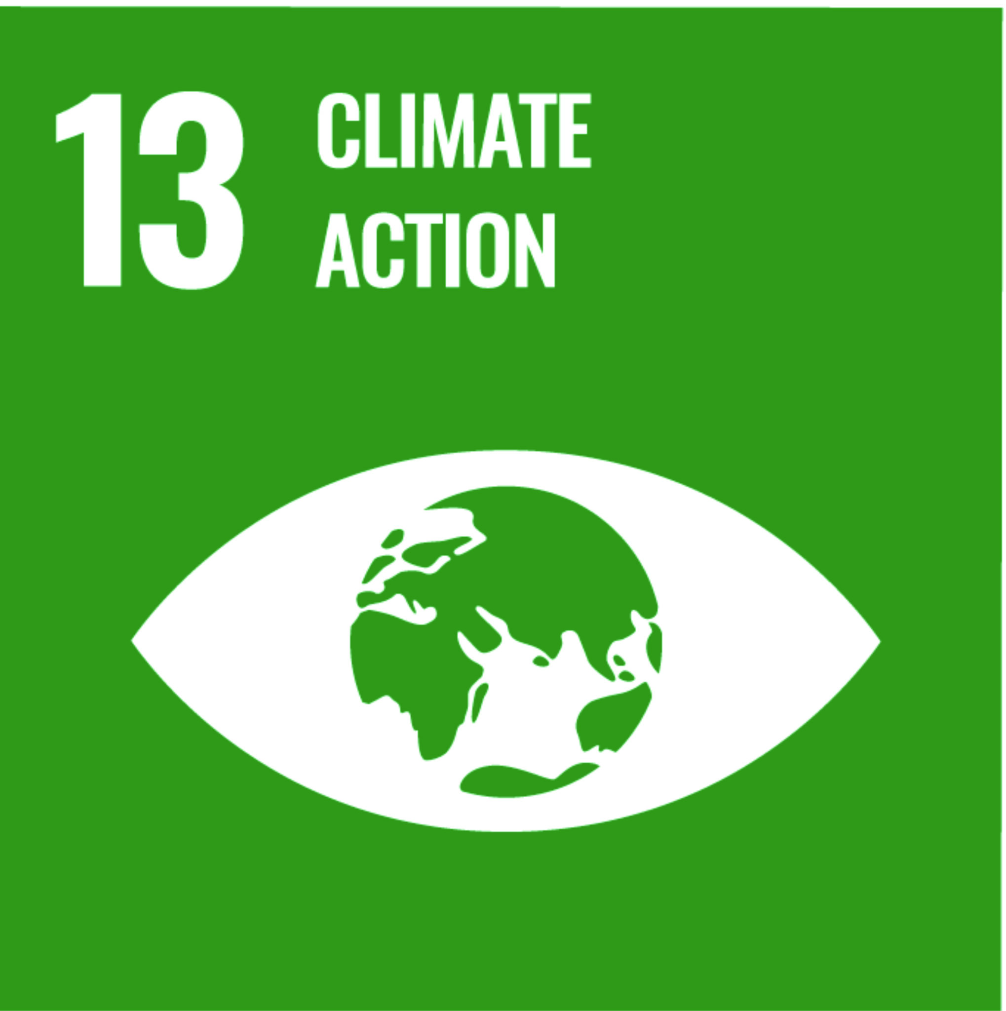 SDG 13