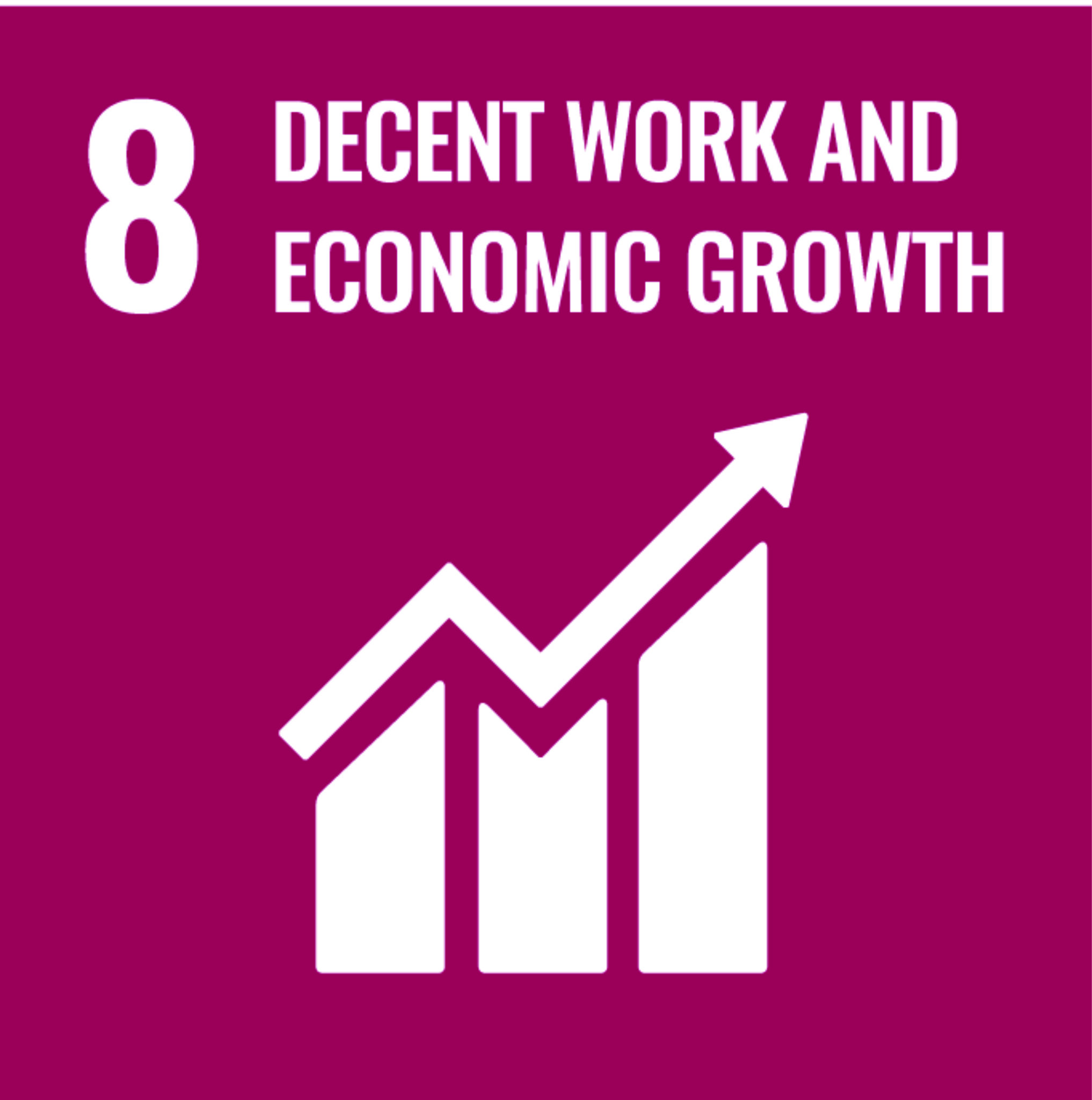 SDG 8