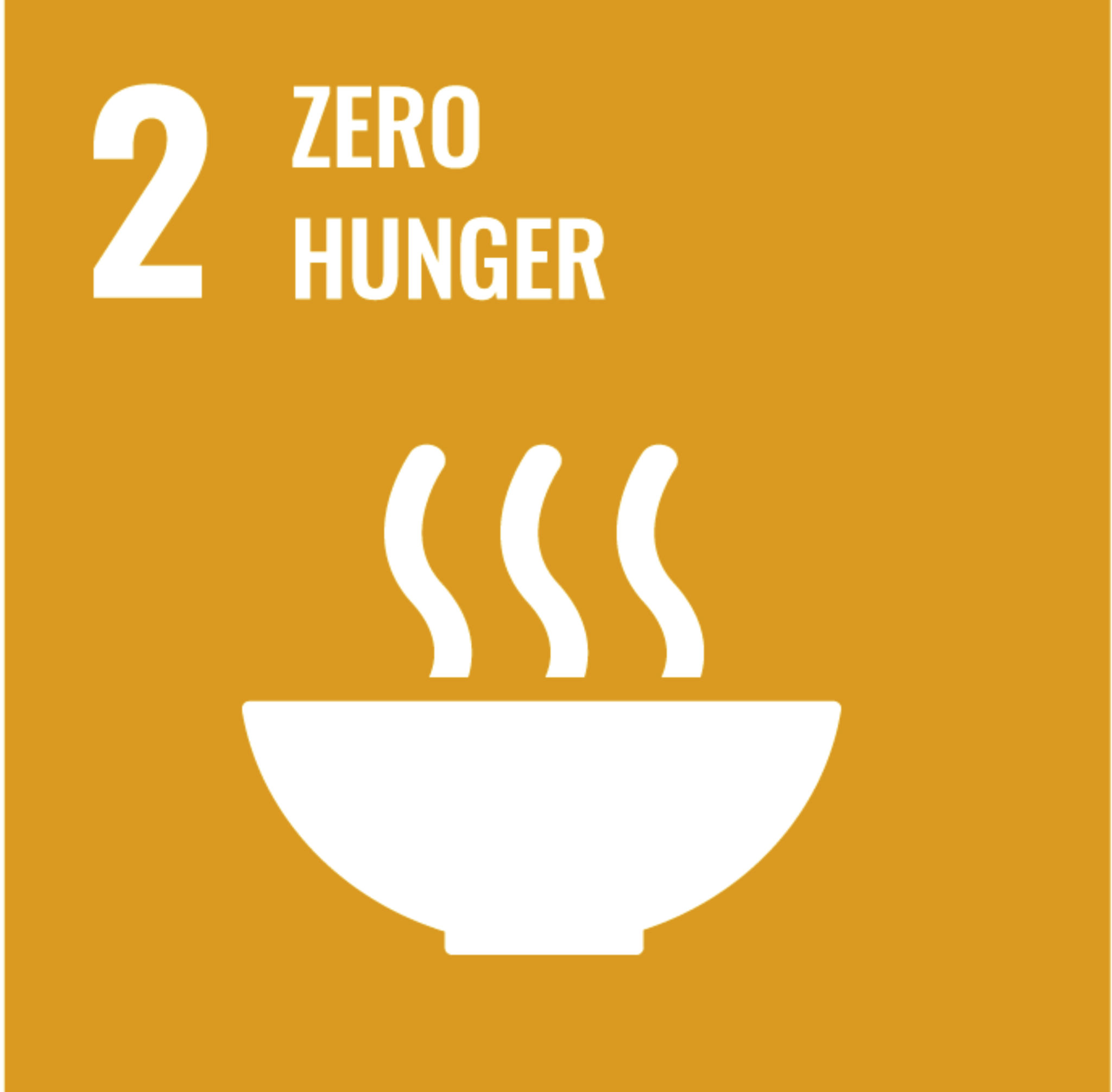 SDG 2